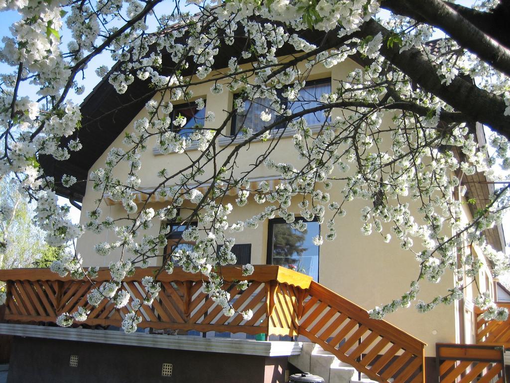 St. Michael Apartman Budapest Ngoại thất bức ảnh